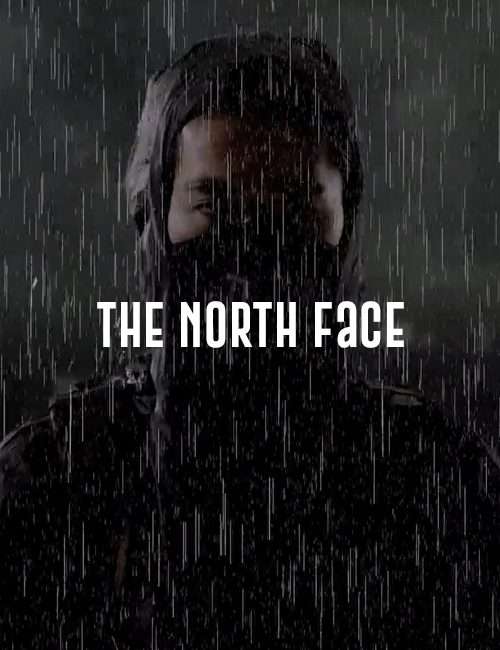 Homepage-The north face